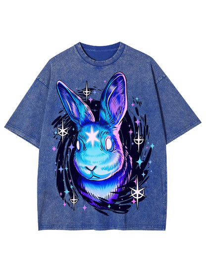 BLACK RABBIT HOLE WASHED TSHIRT