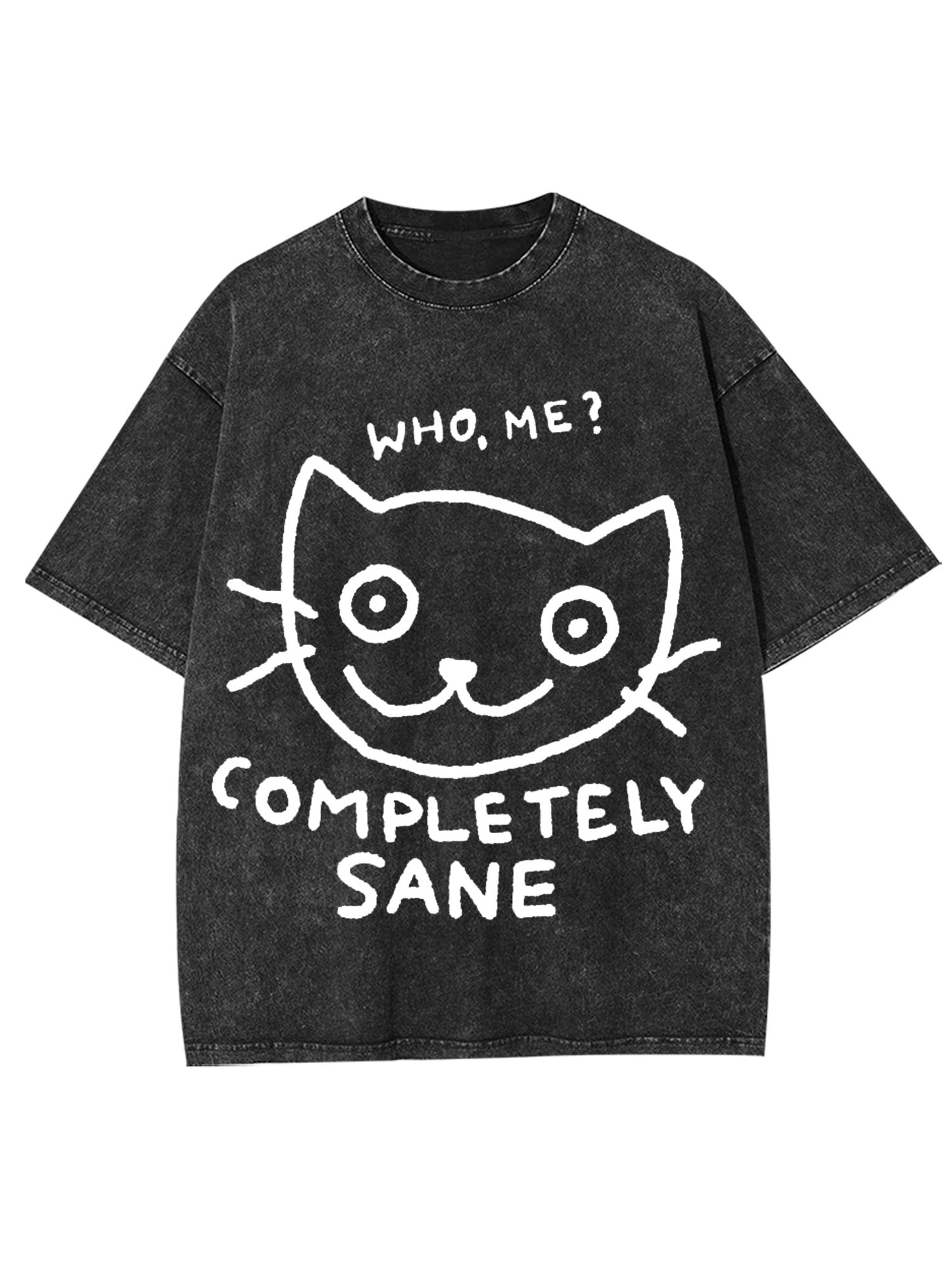 COMPLETELY SANE WASHED TSHIRT