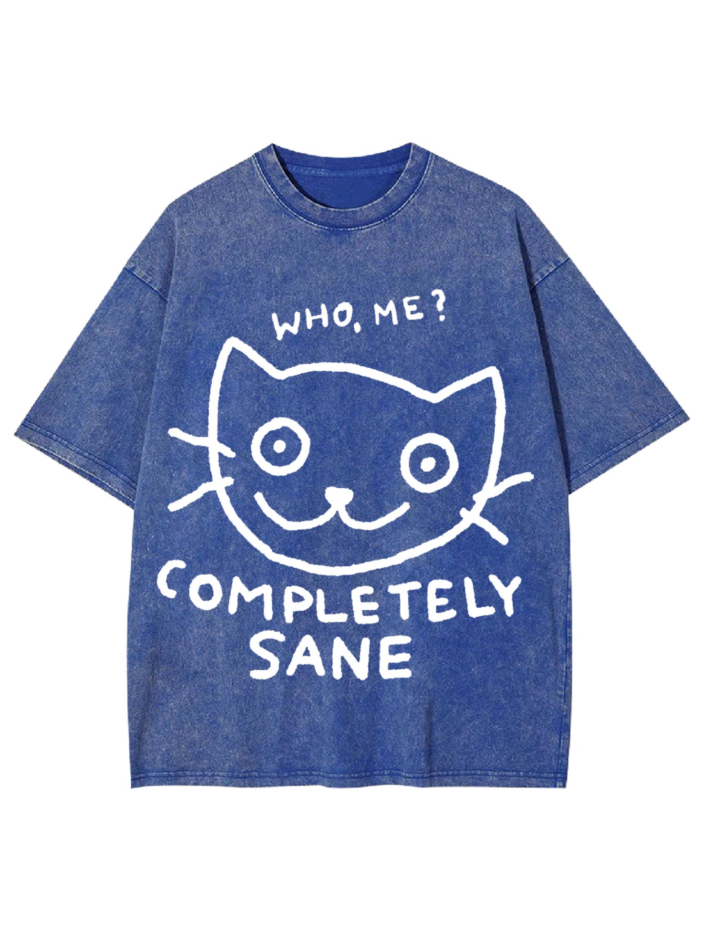 COMPLETELY SANE WASHED TSHIRT