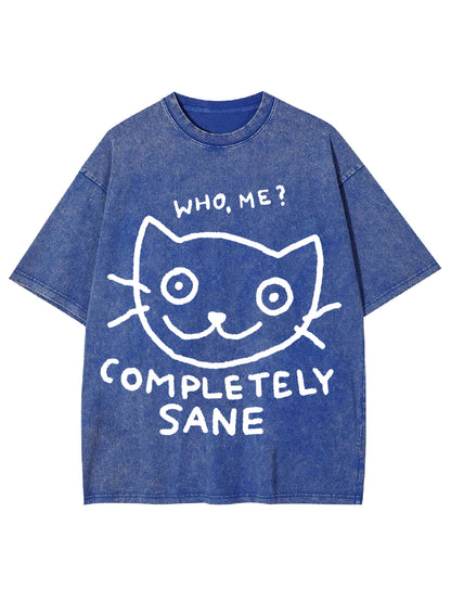 COMPLETELY SANE WASHED TSHIRT