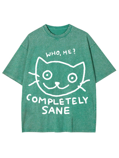 COMPLETELY SANE WASHED TSHIRT