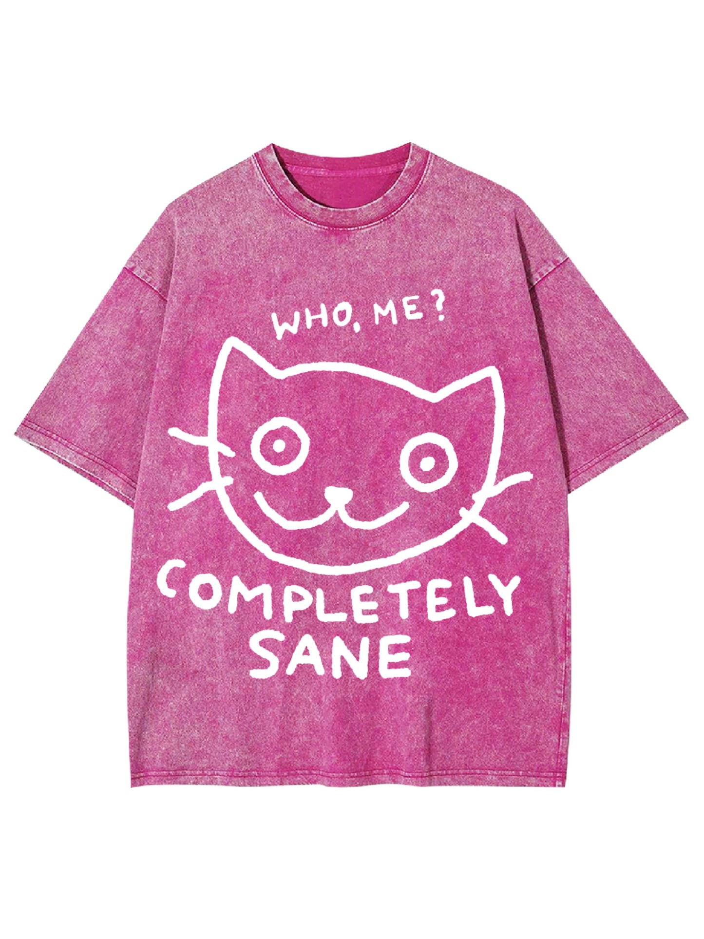 COMPLETELY SANE WASHED TSHIRT