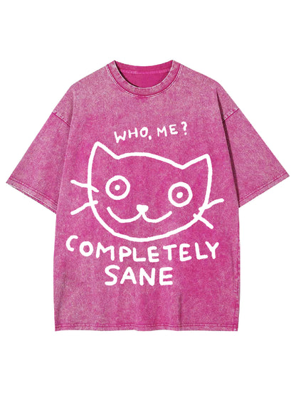 COMPLETELY SANE WASHED TSHIRT