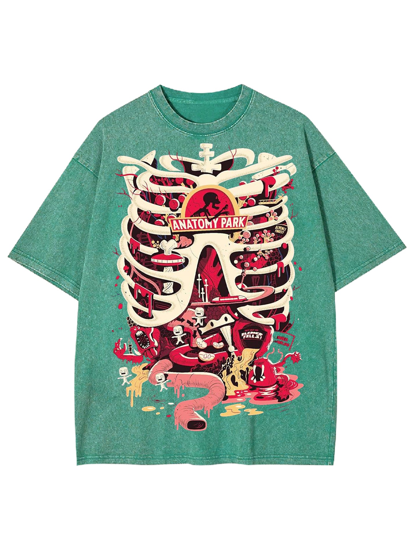 ANATOMY PARK WASHED TSHIRT