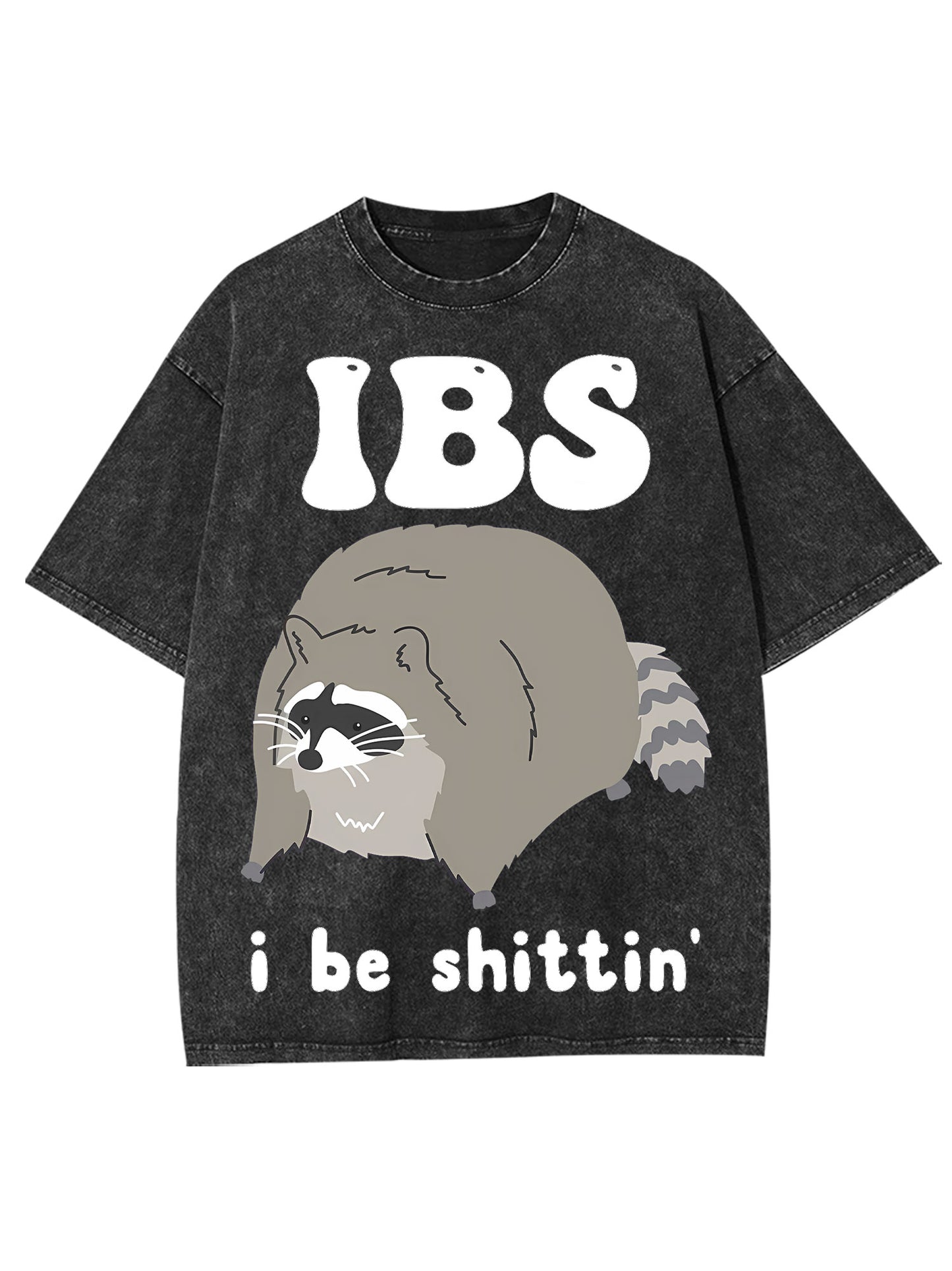 IBS WASHED TSHIRT