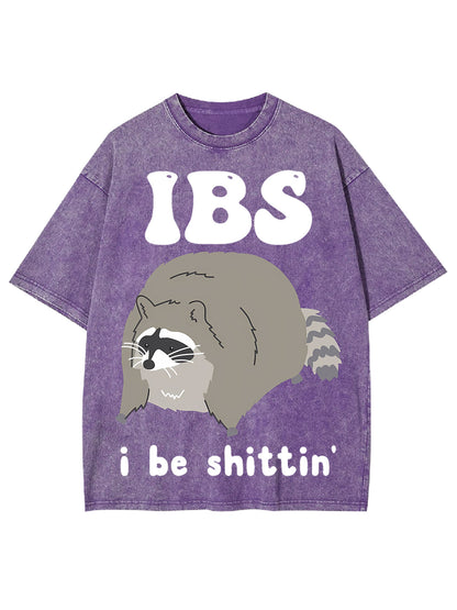 IBS WASHED TSHIRT