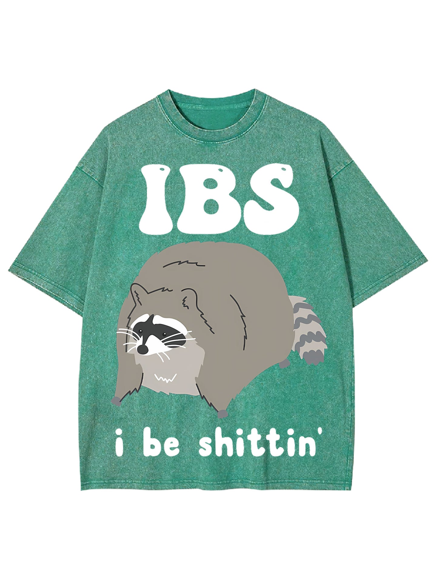 IBS WASHED TSHIRT