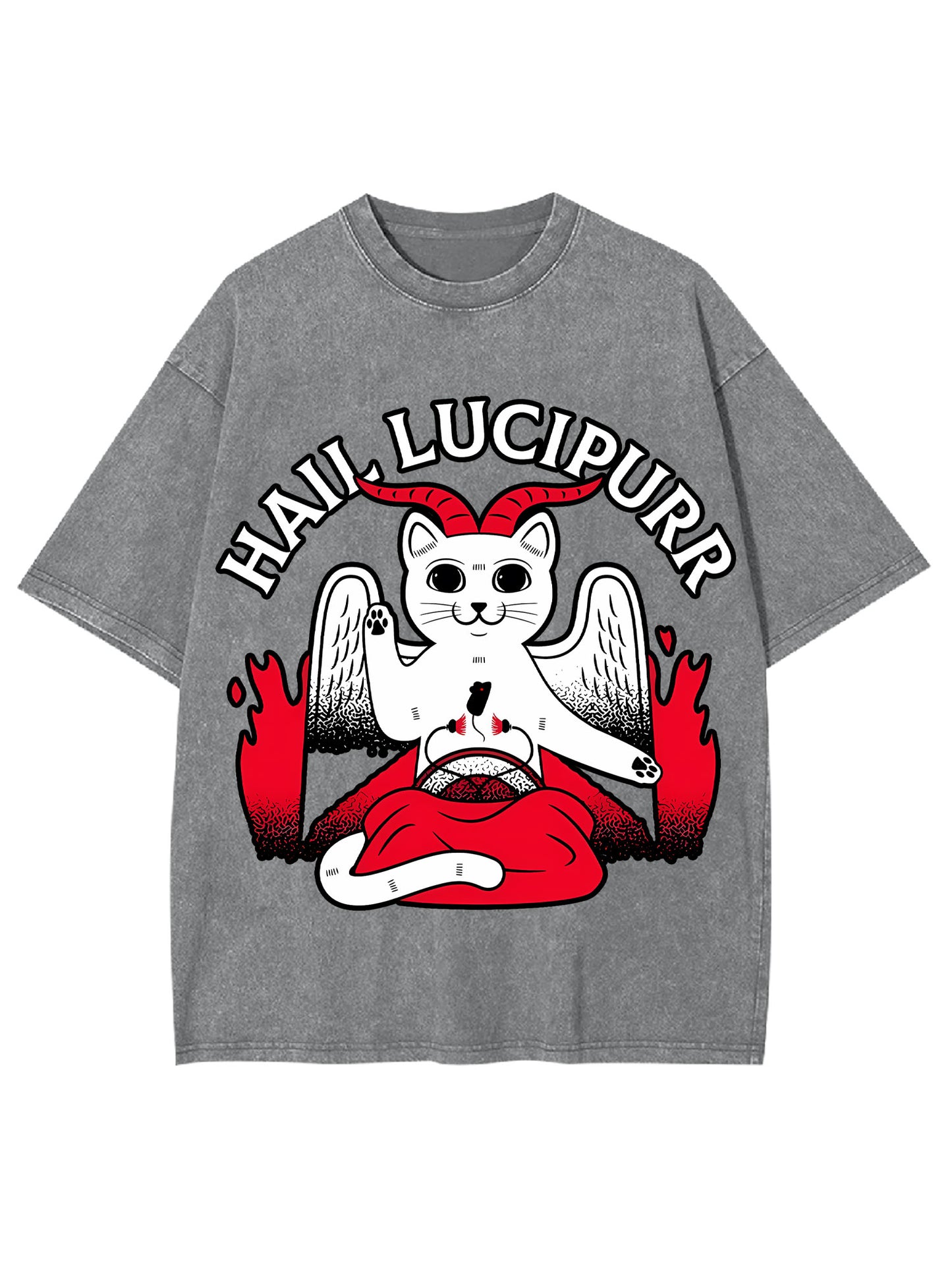 HAIL LUCIPURR WASHED TSHIRT