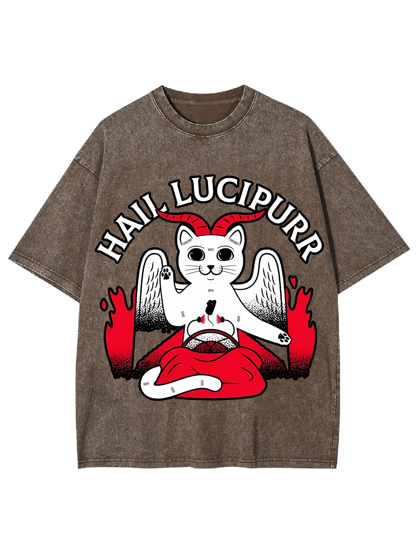 HAIL LUCIPURR WASHED TSHIRT