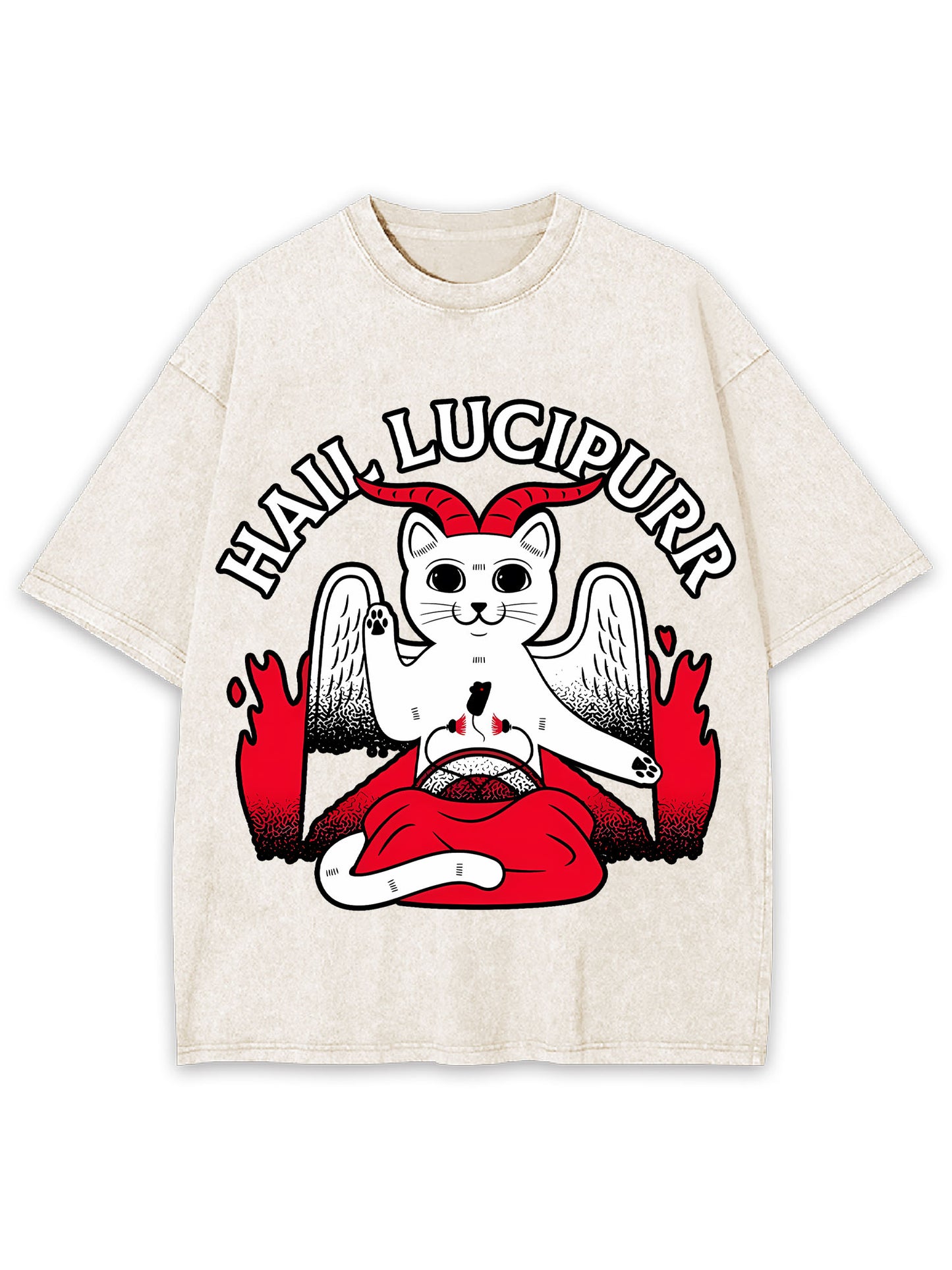 HAIL LUCIPURR WASHED TSHIRT