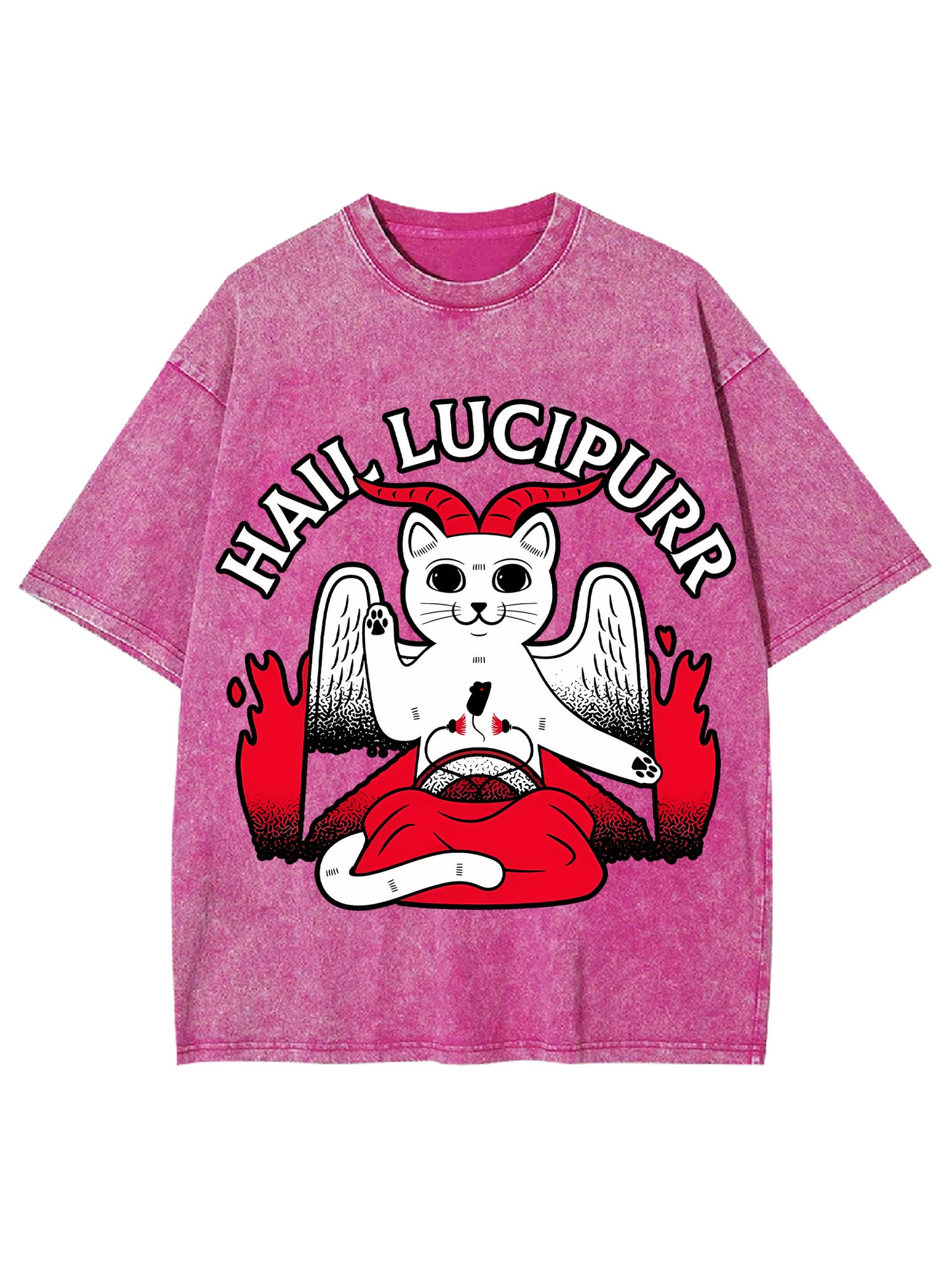 HAIL LUCIPURR WASHED TSHIRT