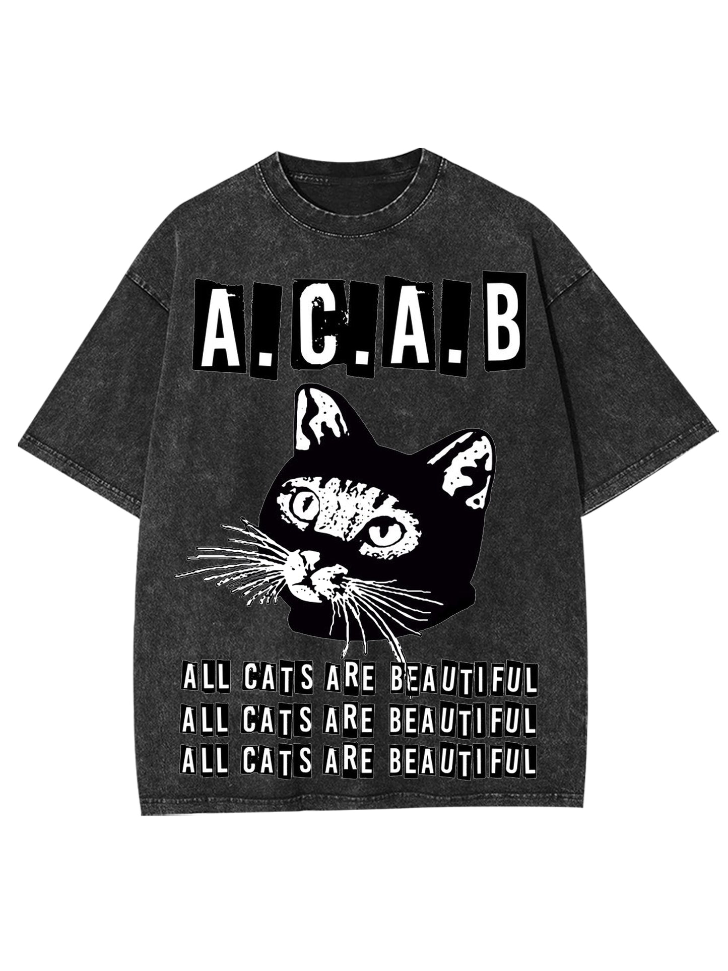 ALL CATS ARE BEAUTIFUL WASHED TSHIRT