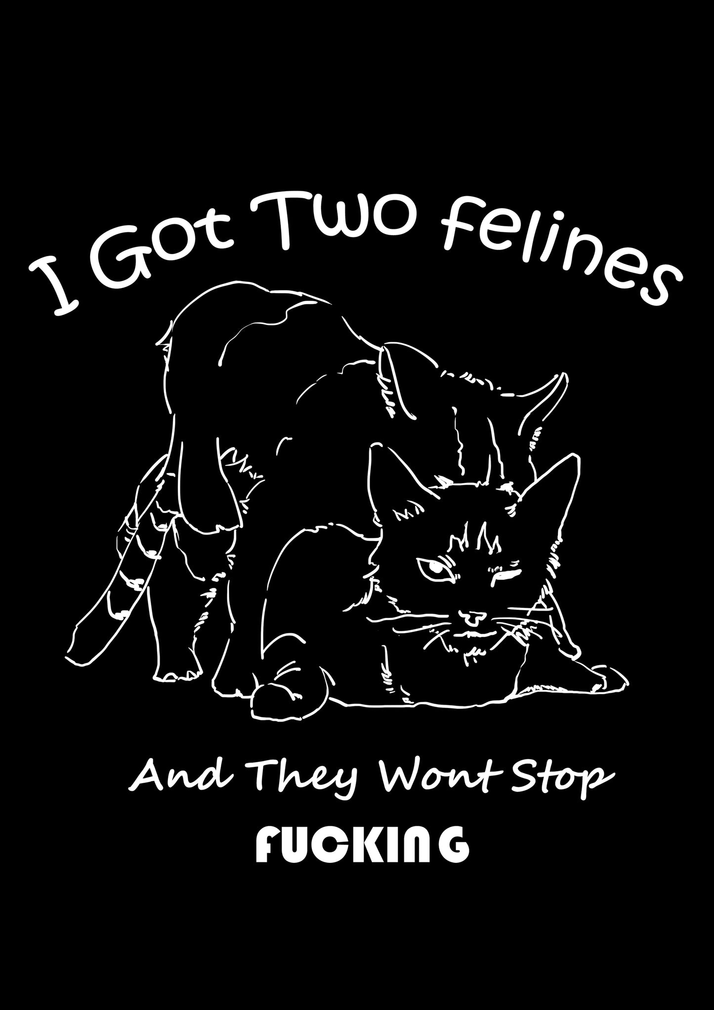 I GOT TWO FELINES AND THEY WANT STOP FUCKING WASHED TSHIRT