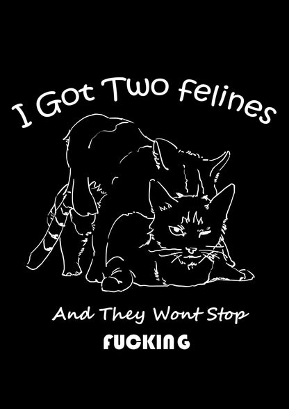 I GOT TWO FELINES AND THEY WANT STOP FUCKING WASHED TSHIRT