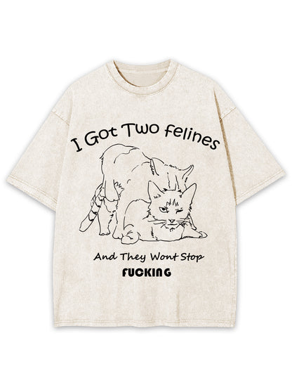 I GOT TWO FELINES AND THEY WANT STOP FUCKING WASHED TSHIRT