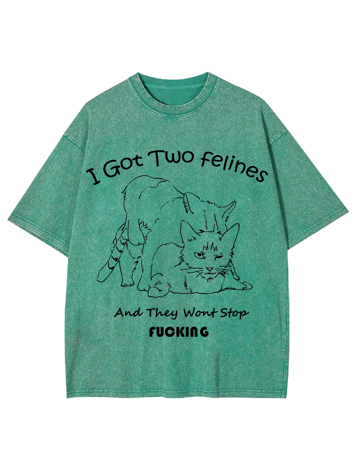 I GOT TWO FELINES AND THEY WANT STOP FUCKING WASHED TSHIRT