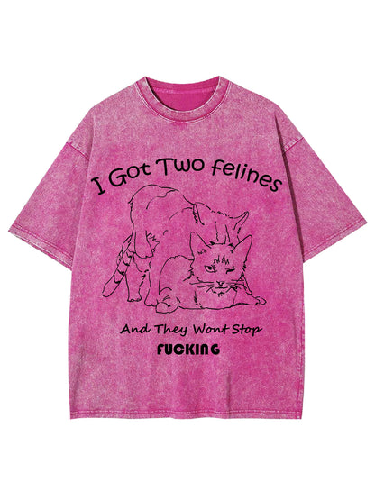 I GOT TWO FELINES AND THEY WANT STOP FUCKING WASHED TSHIRT