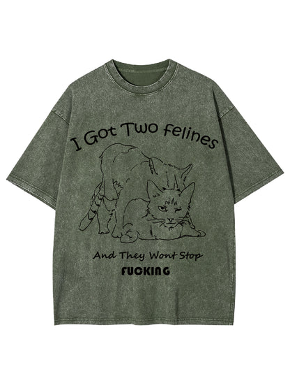 I GOT TWO FELINES AND THEY WANT STOP FUCKING WASHED TSHIRT