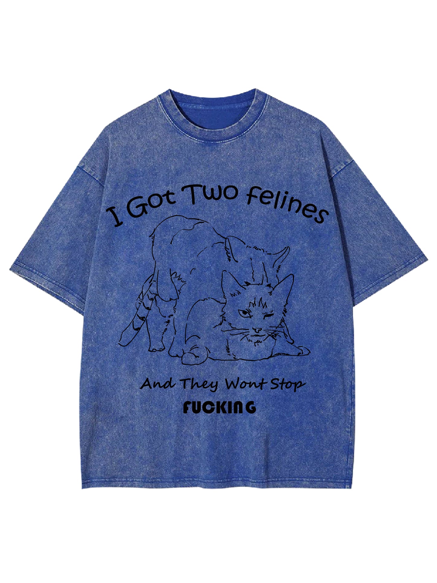 I GOT TWO FELINES AND THEY WANT STOP FUCKING WASHED TSHIRT