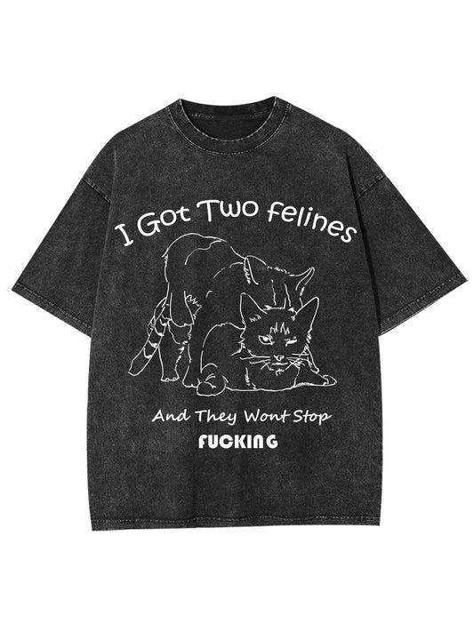 I GOT TWO FELINES AND THEY WANT STOP FUCKING WASHED TSHIRT