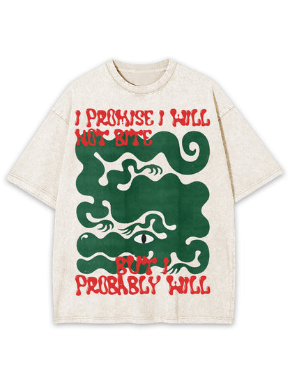 I PROMISE WASHED TSHIRT